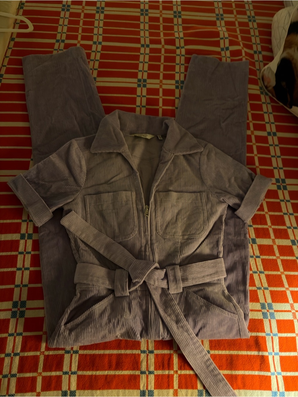Corduroy Belted Jumpsuit in Dusty Lavender